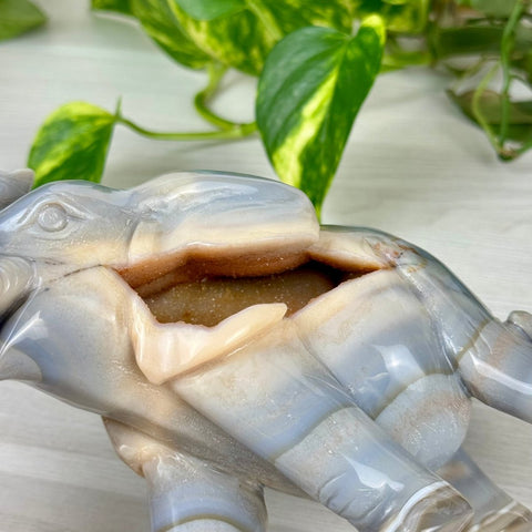 Statement Druzy Agate Elephant - Dahlia 2 - Kenna's Crystals from TikTok