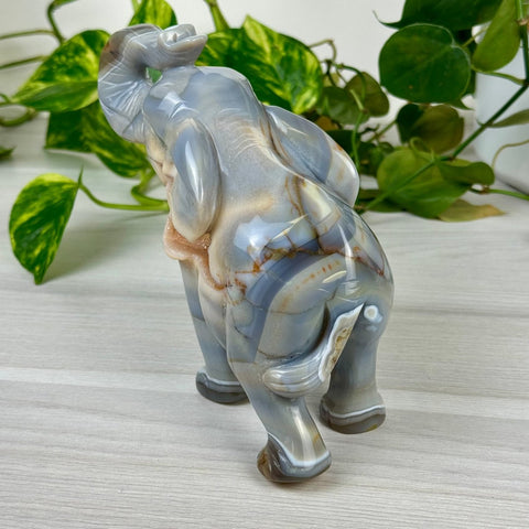 Statement Druzy Agate Elephant - Dahlia 5 - Kenna's Crystals from TikTok