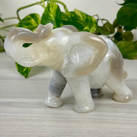 Statement Druzy Agate Elephant - Ellie 1 - Kenna's Crystals from TikTok