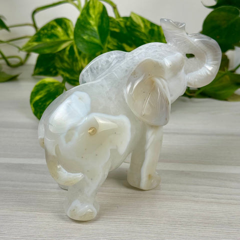 Statement Druzy Agate Elephant - Fiona 5 - Kenna's Crystals from TikTok