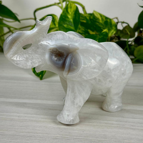 Statement Druzy Agate Elephant - Fiona 3 - Kenna's Crystals from TikTok