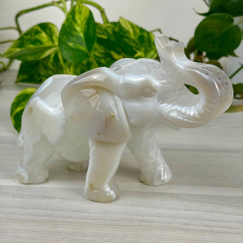Statement Druzy Agate Elephant - Fiona 1 - Kenna's Crystals from TikTok