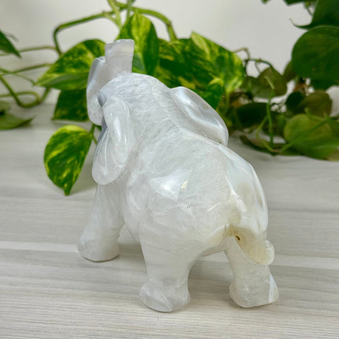 Statement Druzy Agate Elephant - Fiona 4 - Kenna's Crystals from TikTok