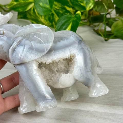 Statement Druzy Agate Elephant - Hazel 4 - Kenna's Crystals from TikTok