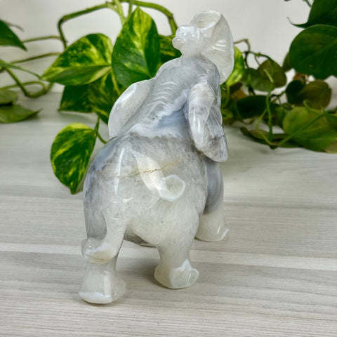 Statement Druzy Agate Elephant - Hazel 6 - Kenna's Crystals from TikTok