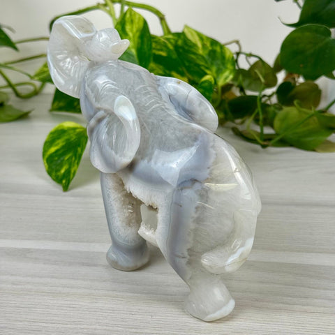 Statement Druzy Agate Elephant - Hazel 5 - Kenna's Crystals from TikTok