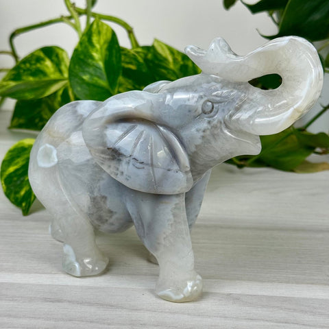 Statement Druzy Agate Elephant - Hazel 1 - Kenna's Crystals from TikTok