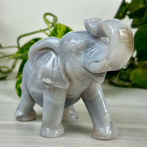 Statement Druzy Agate Elephant - Irina 2 - Kenna's Crystals from TikTok