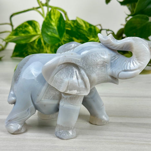 Statement Druzy Agate Elephant - Irina 1 - Kenna's Crystals from TikTok