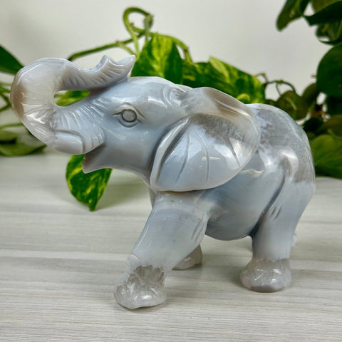 Statement Druzy Agate Elephant - Irina 3 - Kenna's Crystals from TikTok