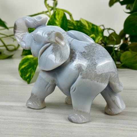 Statement Druzy Agate Elephant - Irina 4 - Kenna's Crystals from TikTok