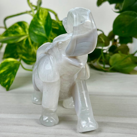 Statement Druzy Agate Elephant - Jasmine 2 - Kenna's Crystals from TikTok