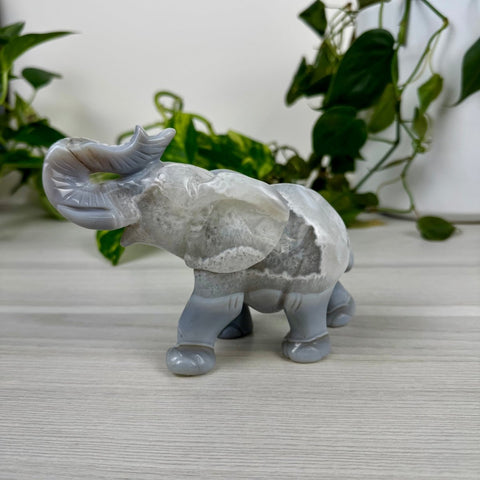 Statement Druzy Agate Elephant - Kendall 3 - Kenna's Crystals from TikTok