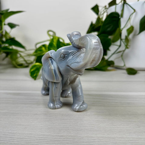 Statement Druzy Agate Elephant - Kendall 2 - Kenna's Crystals from TikTok