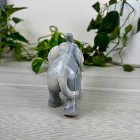 Statement Druzy Agate Elephant - Kendall 5 - Kenna's Crystals from TikTok