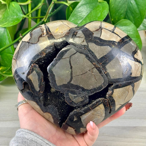 Statement Druzy Septarian Heart 2 - Kenna's Crystals from TikTok