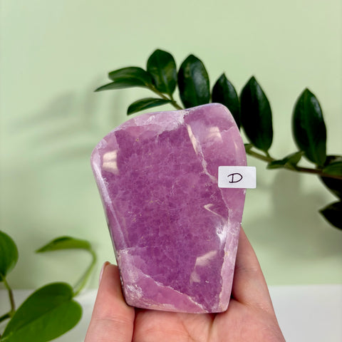 Statement Jelly Pink Aragonite Free Form
