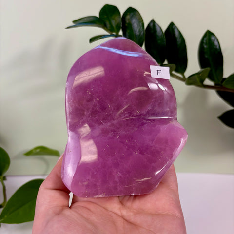 Statement Jelly Pink Aragonite Free Form