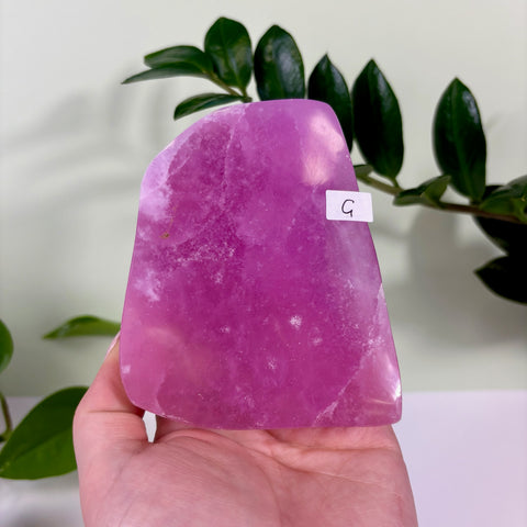 Statement Jelly Pink Aragonite Free Form