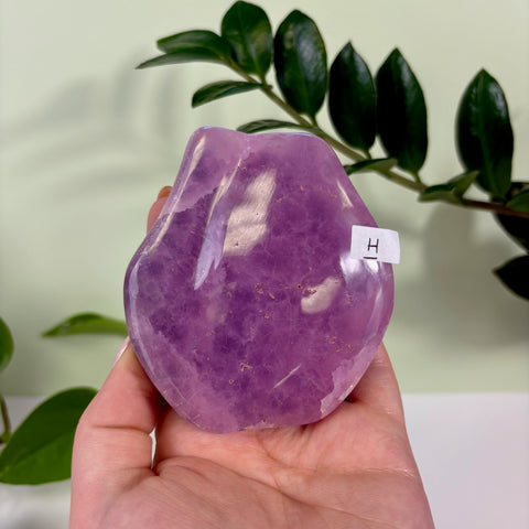Statement Jelly Pink Aragonite Free Form