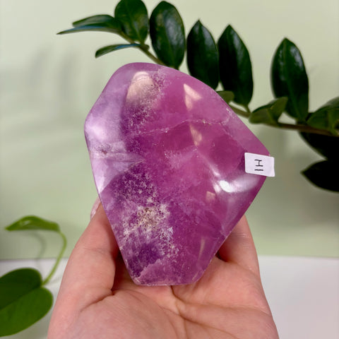 Statement Jelly Pink Aragonite Free Form