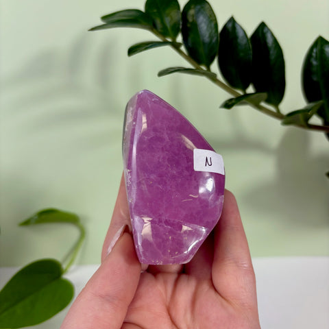 Statement Jelly Pink Aragonite Free Form