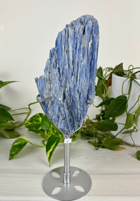 Statement Kyanite Cluster (W/ Custom Stand) D 5 - Kenna's Crystals from TikTok