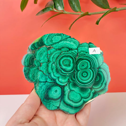 Statement Meadow Malachite - Kenna's Crystals