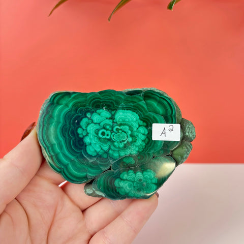 Statement Meadow Malachite - Kenna's Crystals