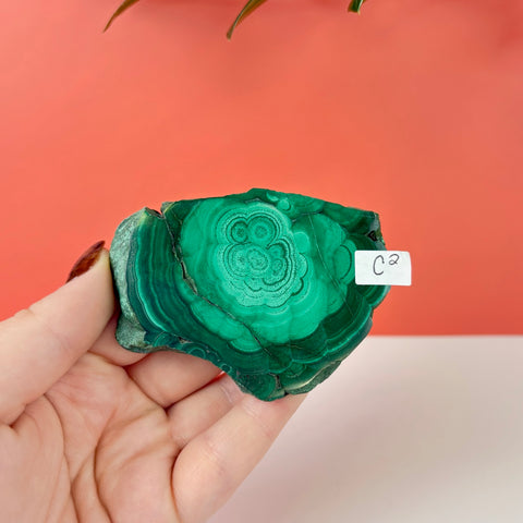 Statement Meadow Malachite - Kenna's Crystals