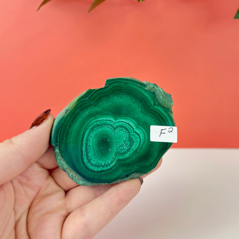 Statement Meadow Malachite - Kenna's Crystals