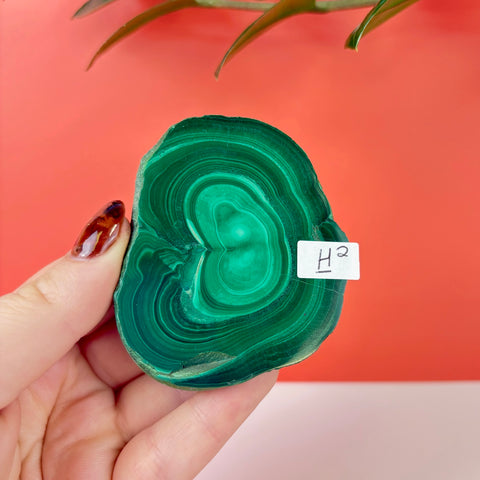 Statement Meadow Malachite - Kenna's Crystals