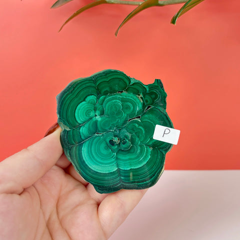 Statement Meadow Malachite - Kenna's Crystals