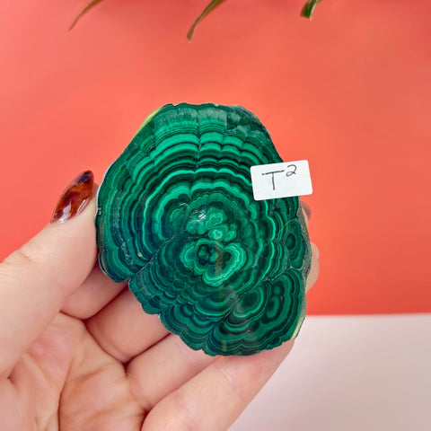 Statement Meadow Malachite - Kenna's Crystals