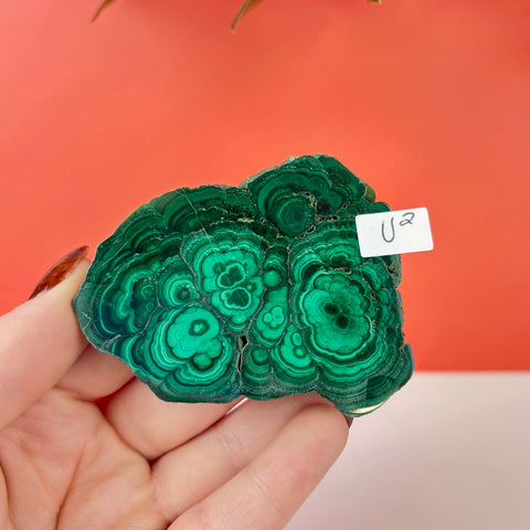 Statement Meadow Malachite - Kenna's Crystals
