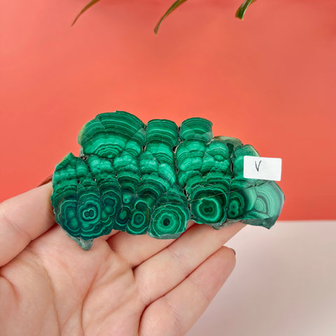 Statement Meadow Malachite - Kenna's Crystals