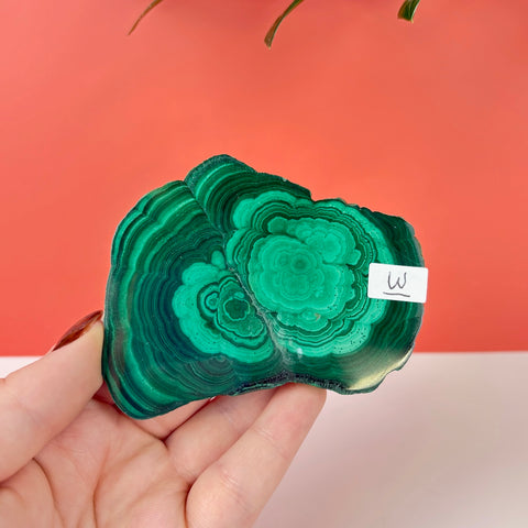 Statement Meadow Malachite - Kenna's Crystals