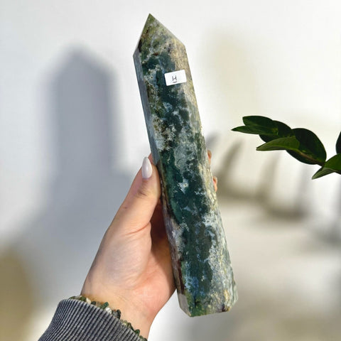 Statement Moss Agate Tower H 8 - Kenna's Crystals from TikTok