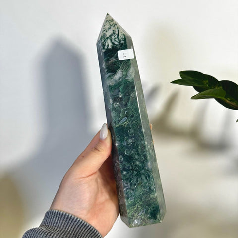 Statement Moss Agate Tower L 12 - Kenna's Crystals from TikTok
