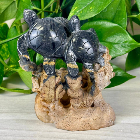 Statement Picasso Turtle Sculpture 1 - Kenna's Crystals from TikTok