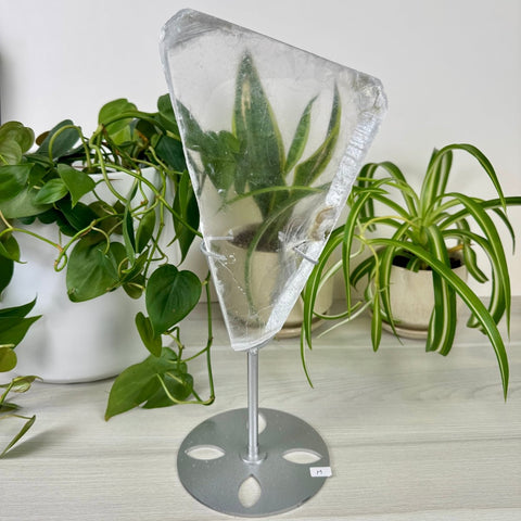 Statement Selenite Slab (W/ Custom Stand) M 4 - Kenna's Crystals from TikTok