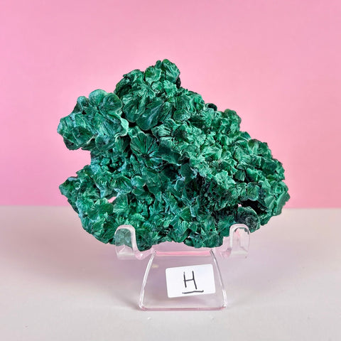 Statement Velvet Malachite