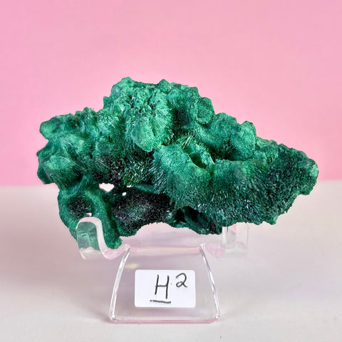 Statement Velvet Malachite