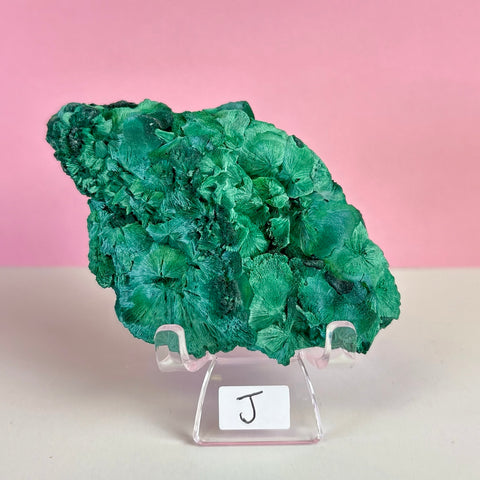 Statement Velvet Malachite