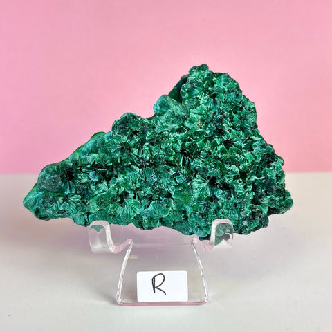 Statement Velvet Malachite