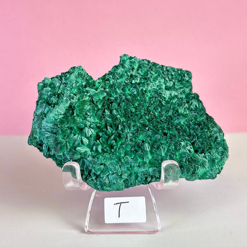 Statement Velvet Malachite