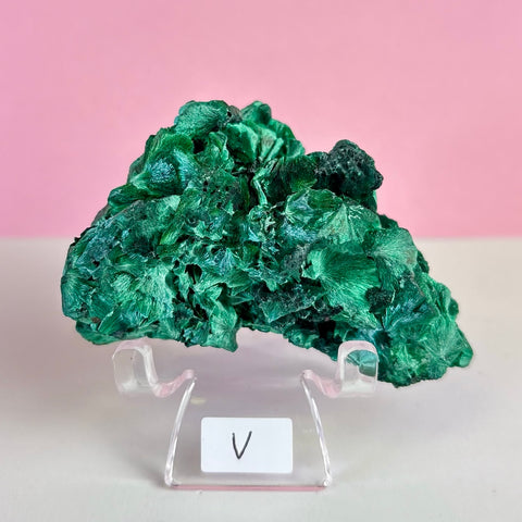 Statement Velvet Malachite