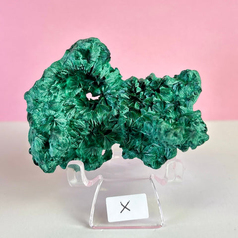 Statement Velvet Malachite