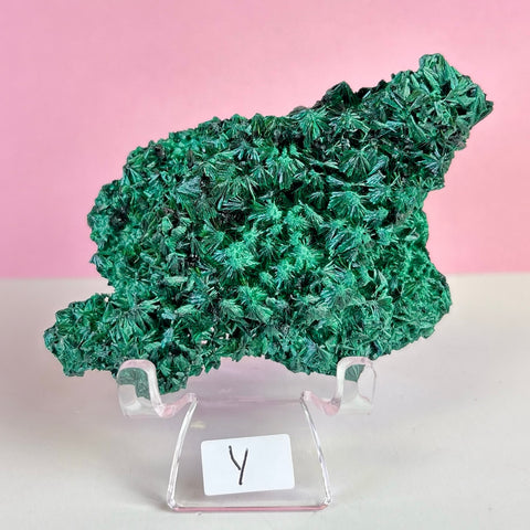 Statement Velvet Malachite