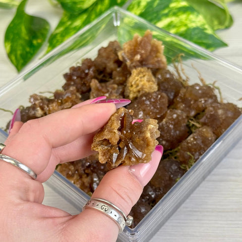 Sunflower Citrine Specimen 55 1 - Kenna's Crystals from TikTok